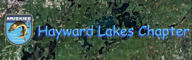 Link to Hayward Lakes Chapter of Muskies Inc.